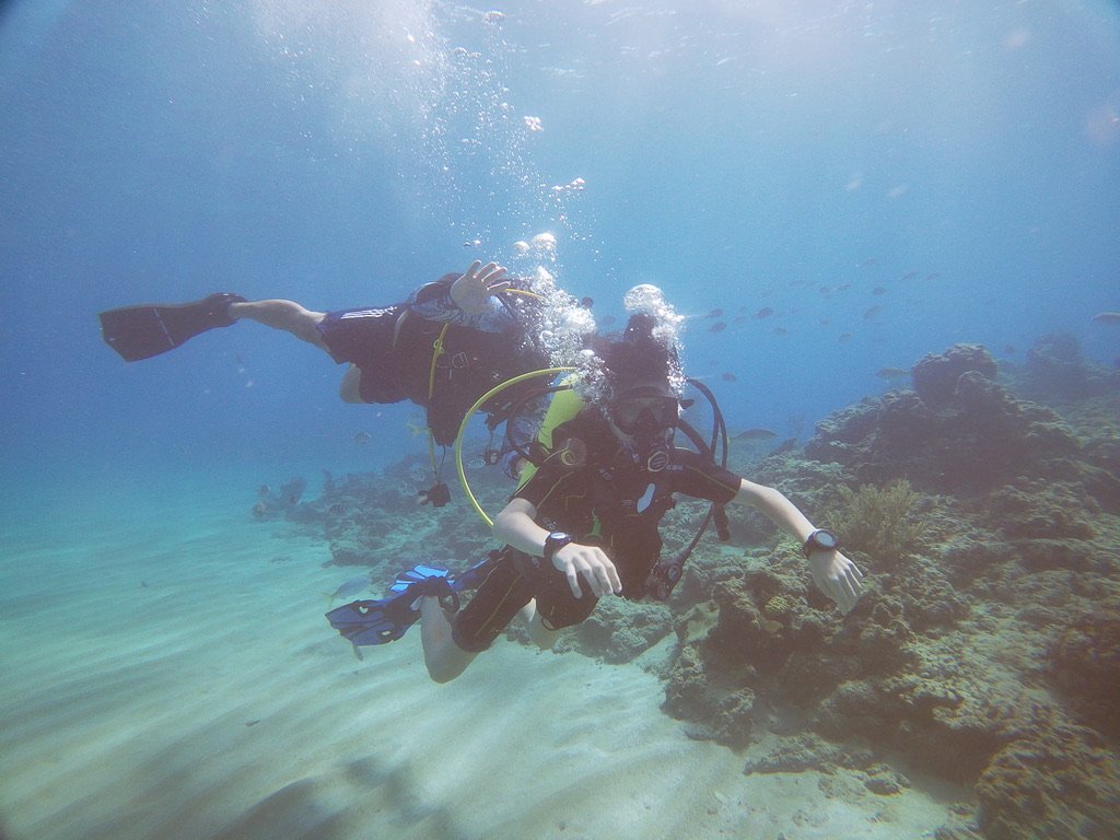 Reef dive